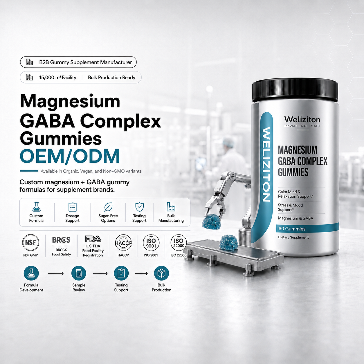 Magnesium GABA Complex Gummies